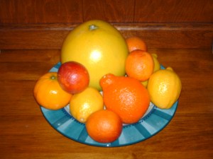 Mixed citrus--from Wikimedia Commons