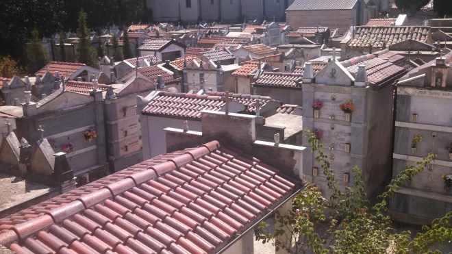 A section of the cemetery in Scigliano--typical with its many above-ground vaults. 