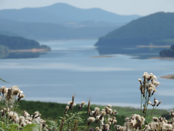 The western end of Lago Arvo.